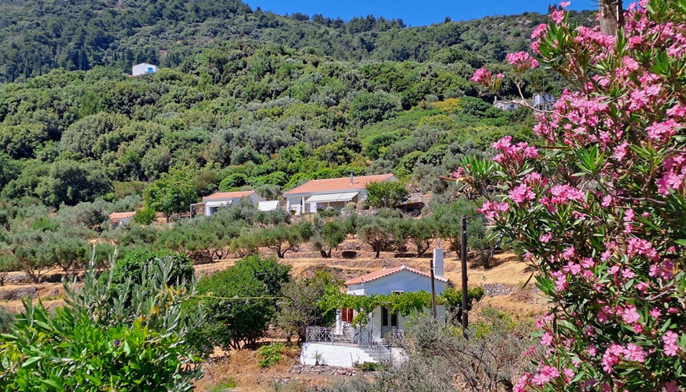 Ferienhäuser auf Samos von privat